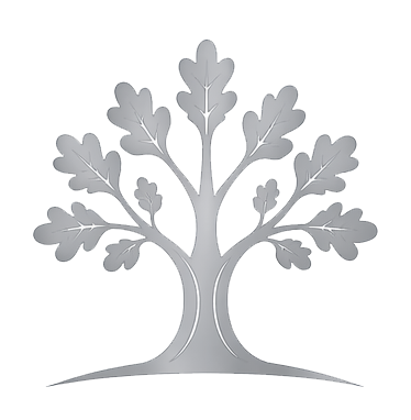 Logo Assistance Numérique Seniors